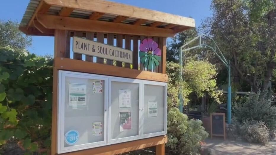 San Jose community garden told to leave as land is sold to developer — CBS Bay Area (KPIX), San Rafael Real Estate news
