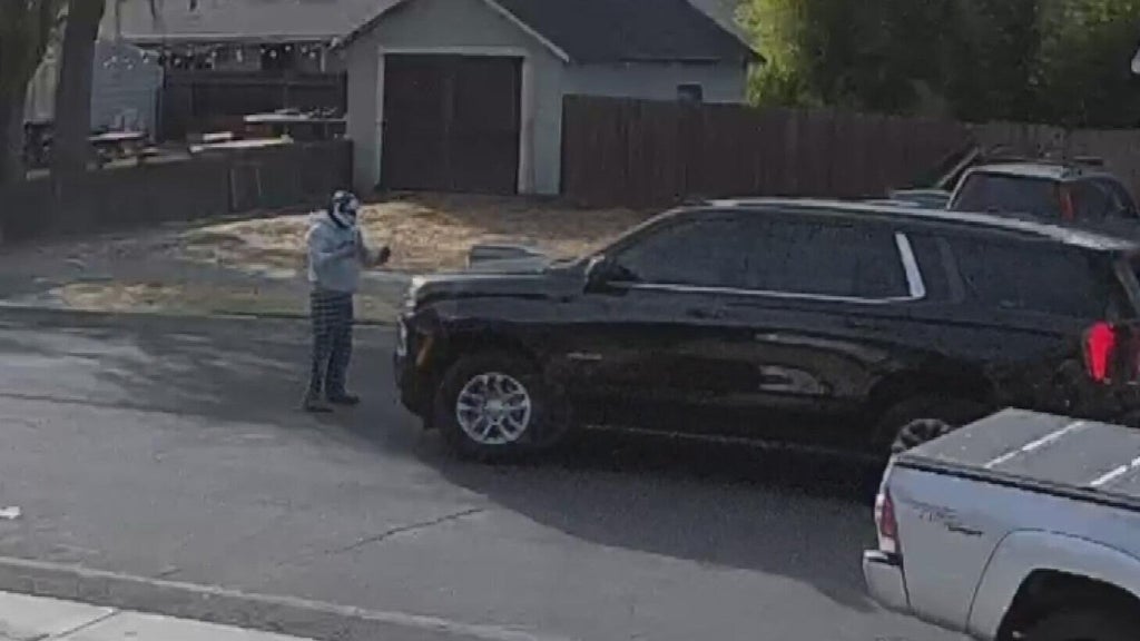 Woodland police dispute DHS account of ICE agent's collision with pedestrian — CBS Bay Area (KPIX), San Rafael Health news