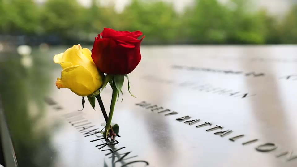 Second 9/11 victim identified with breakthrough genetic genealogy, NYC officials say
       — ABC 7 Bay Area, San Rafael Community news
