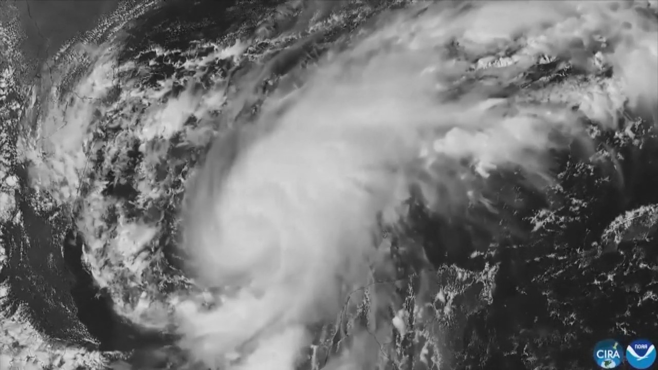 Hurricane Isaias: Residents board up windows and National Guard troops deploy as storm nears US Gulf Coast
— ABC 7 Bay Area, San Rafael Sports news