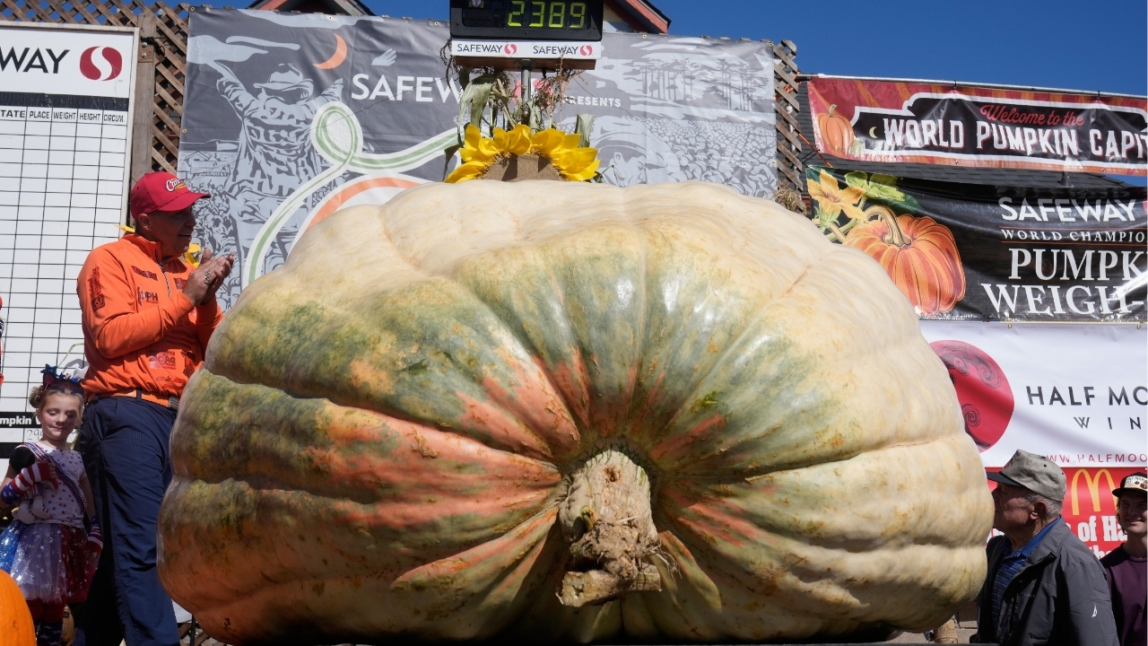 A giant pumpkin named Rocky gives a champion grower his California comeback
— ABC 7 Bay Area, San Rafael Schools news