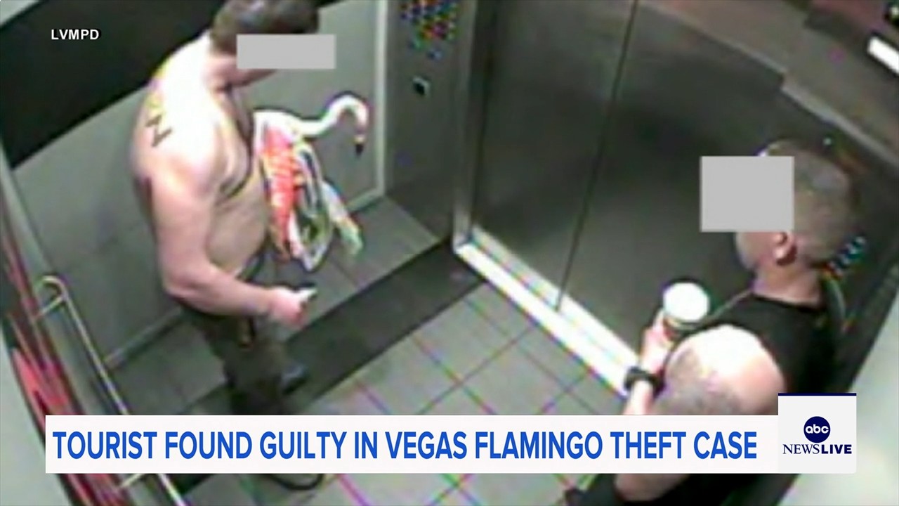 Man who snatched Peachy the flamingo from Las Vegas hotel exhibit found guilty of animal cruelty
— ABC 7 Bay Area, San Rafael Arts news