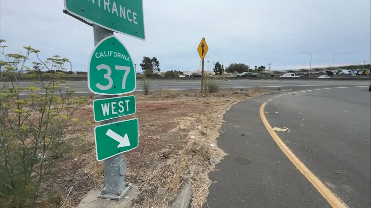 What to know about Highway 37 closures planned this weekend in North Bay
— ABC 7 Bay Area, San Rafael Community news