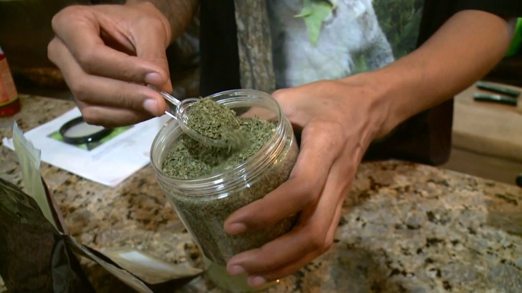 Hillsborough County considers restrictions on kratom products as families describe losing loved ones — WTSP 10 Tampa Bay, San Rafael Government news