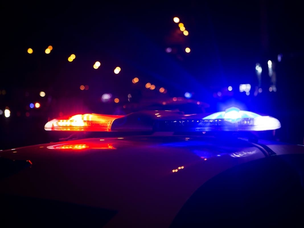 Video Shows Masked Man Stealing Dog From San Rafael Driveway — Novato Patch, San Rafael Community news