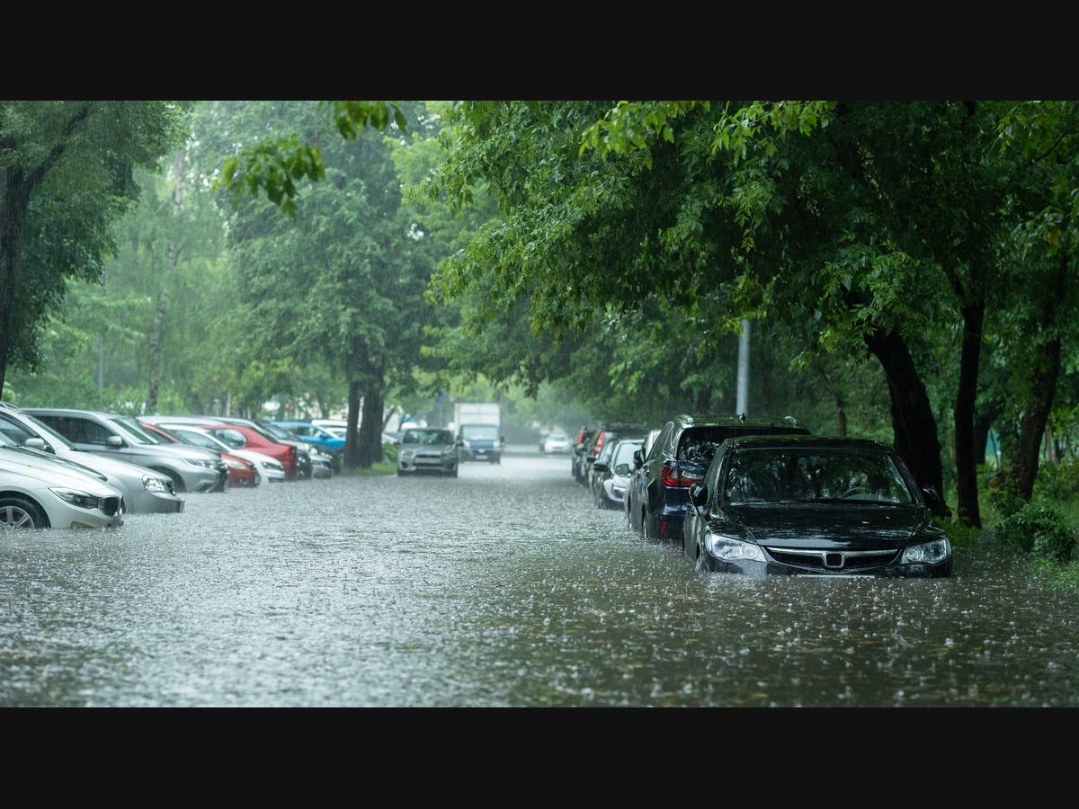 Roads Reopen After Flooding Closes Multiple Areas In Marin County: Police — Novato Patch