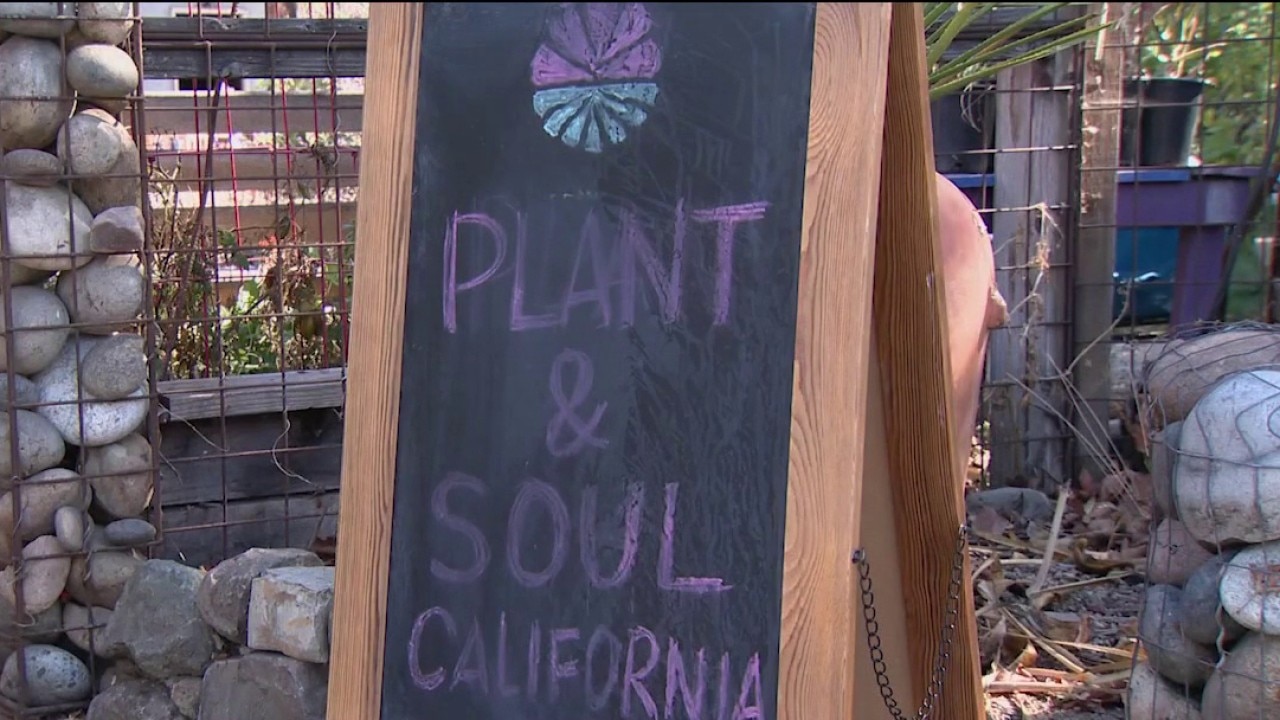 San Jose community garden faces possible eviction — KTVU FOX 2 Bay Area, San Rafael Schools news