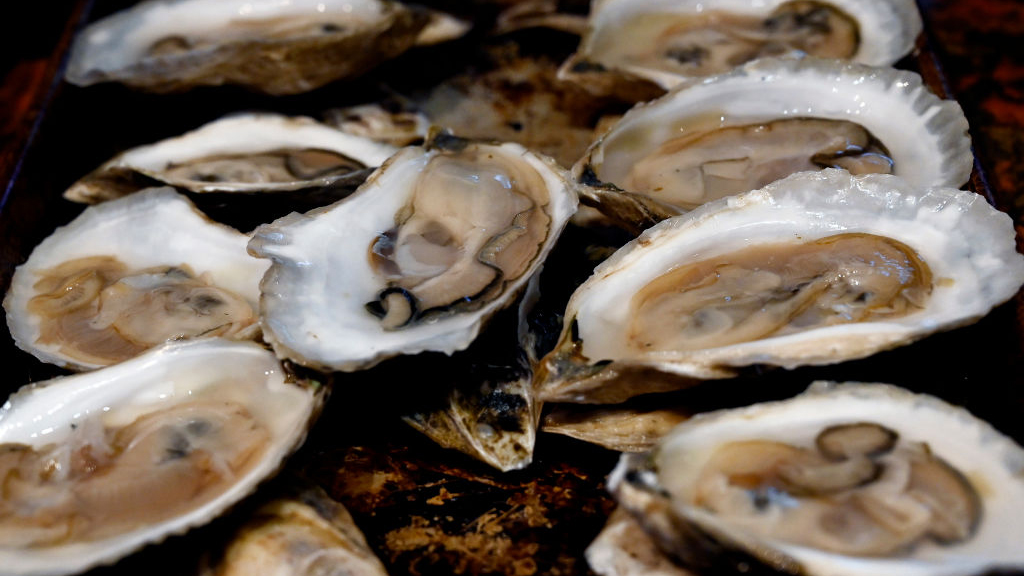 Sewage leak temporarily halts Tomales Bay oyster harvest — KTVU FOX 2 Bay Area, San Rafael Business news