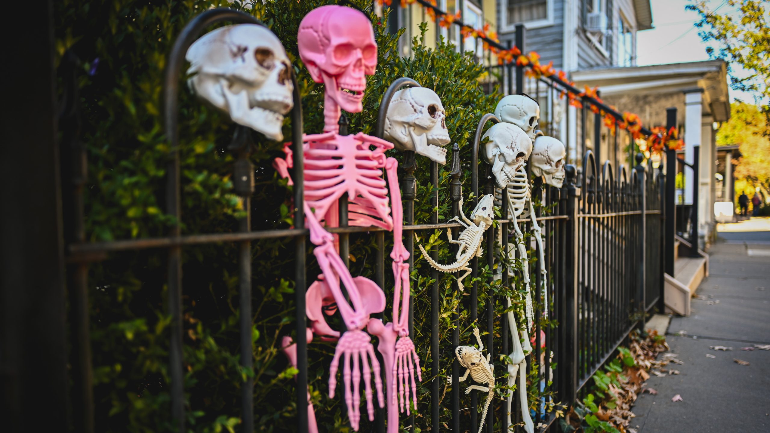 America's best cities for Halloween, ranked — KTVU FOX 2 Bay Area, San Rafael Community news